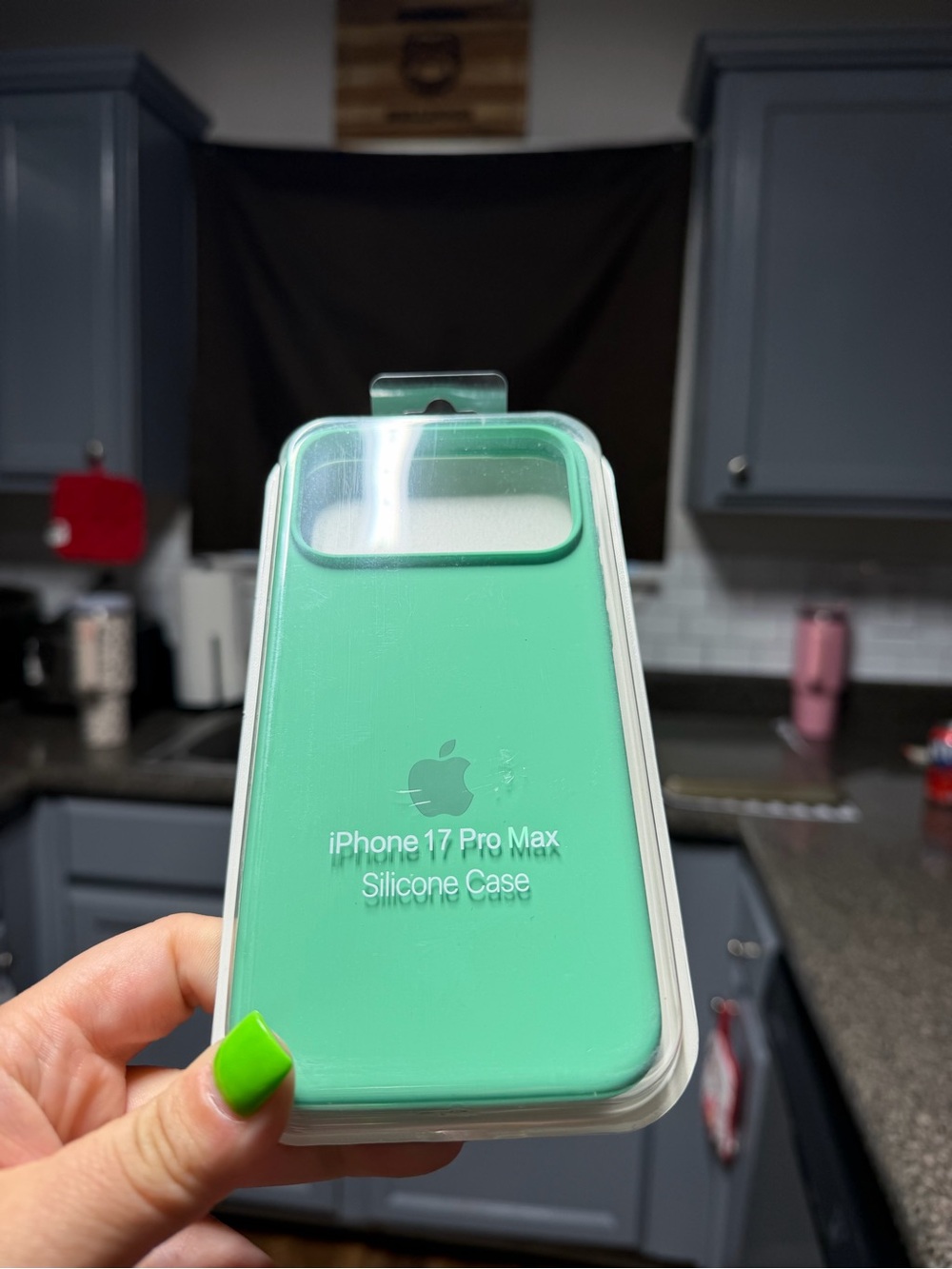 Apple iPhone 17 Pro Max Silicone Case - Mint Green